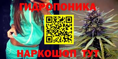 мескалин Камышлов