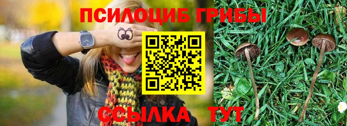 Галлюциногенные грибы прущие грибы  Вход с VPN  Псилоцибиновые грибы MAGIC MUSHROOMS  Котельники 